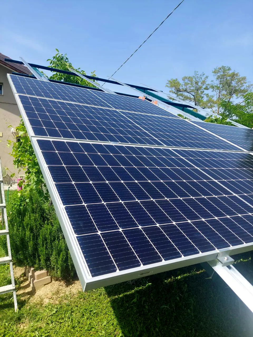 Moduli fotovoltaici e telaio metallico della struttura a terra visti dal basso, accanto a una pianta rampicante