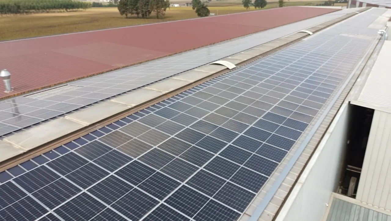 Moduli fotovoltaici in fila sul tetto di un capannone industriale, con la copertura rossa a sinistra