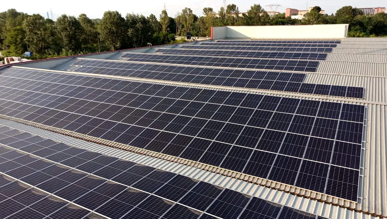Lunghe file di moduli fotovoltaici su una grande copertura in lamiera grecata, con alberi sullo sfondo